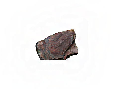 3D_trilobite_thumbnail.png