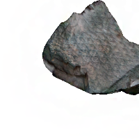 3D_Lepidodendron_thumbnail.png
