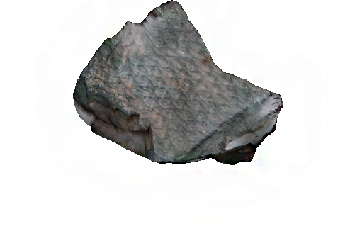 3D_Lepidodendron_thumbnail.png