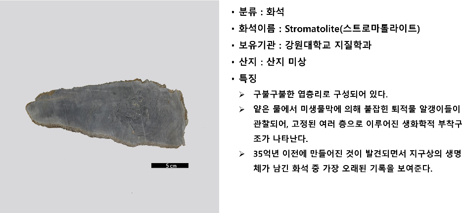 설명_F-031.pdf