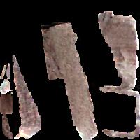 3D_Silicified_WoodImage_1_1.png