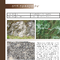 화강암(분광설명서)48-117-29.pdf